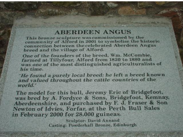 aberdeen angus.2