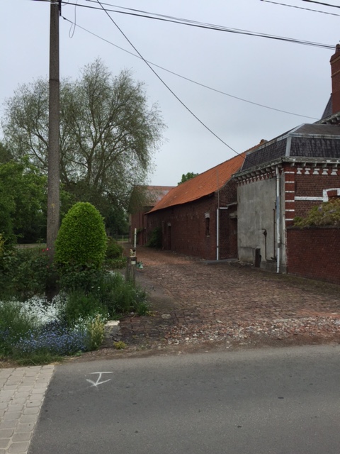 img 1761
