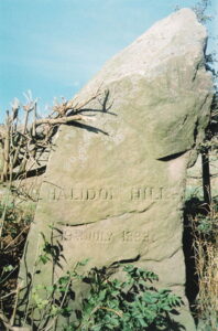 396px halidon hill